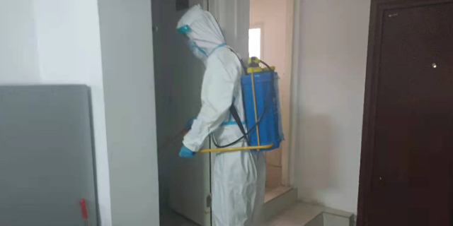 武漢小區(qū)滅蟑螂包月 武漢小小葉子環(huán)保科技供應(yīng)