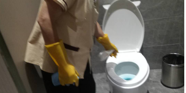 武漢餐飲店白蟻防治哪家好 武漢小小葉子環(huán)保科技供應(yīng)