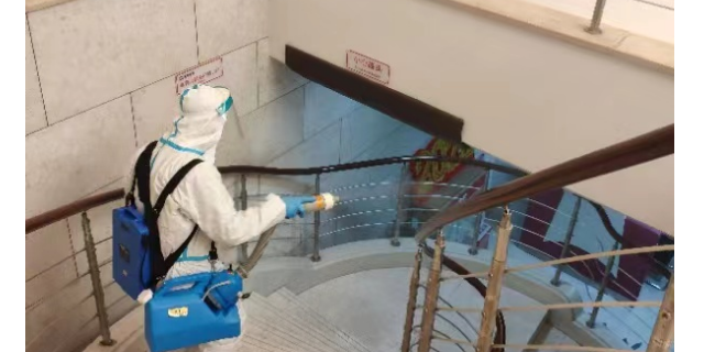 武漢家庭滅螞蟻哪家好 武漢小小葉子環(huán)保科技供應(yīng)