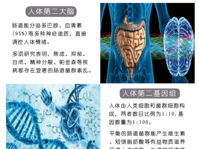 肠道菌群紊乱做什么检查 上海慕柏生物医学科技供应