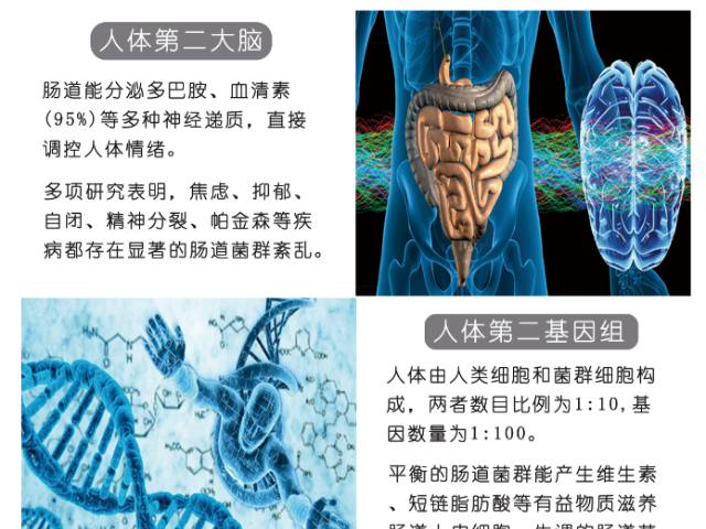 肠菌检测 欢迎咨询 上海慕柏生物医学科技供应