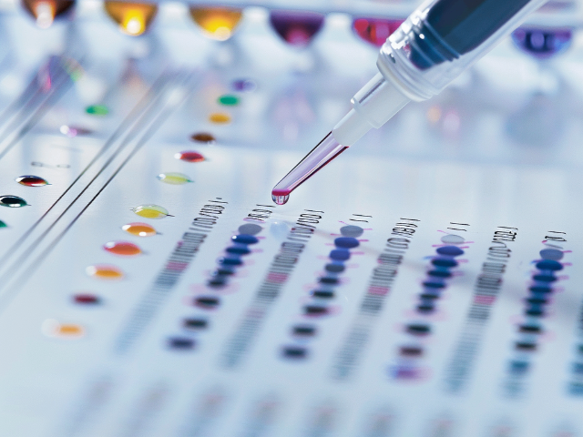 有助于荧光定量PCR线性关系 上海慕柏生物医学科技供应
