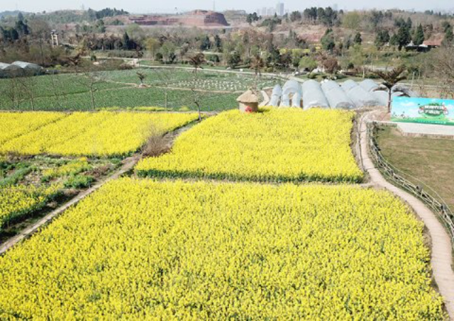 休闲旅游度假区响水六坊票价