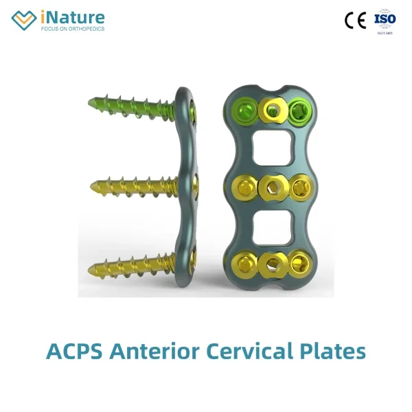 Spinal Plate 