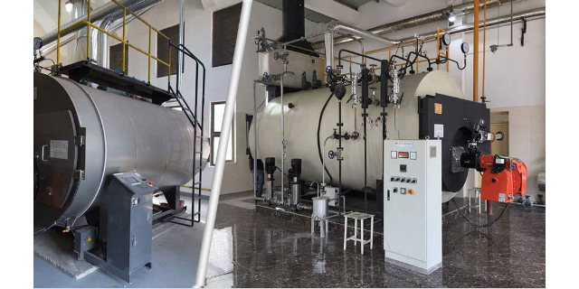 小型燃气蒸汽发生器种类 服务为先 苏州市一条龙锅炉服务供应;