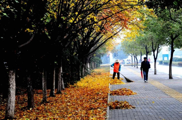 東莞校園環(huán)衛(wèi)提升 真誠推薦 美居庭環(huán)境科技供應(yīng)