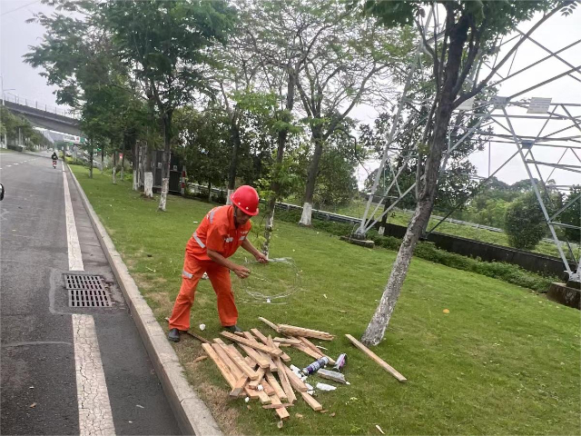 東莞園林環(huán)衛(wèi)工程 服務(wù)至上 美居庭環(huán)境科技供應(yīng)