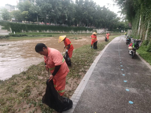 东莞厂房河道治理案例 诚信服务 美居庭环境科技供应