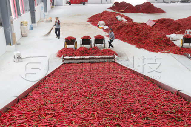 重庆工业辣椒烘干设备实时价格