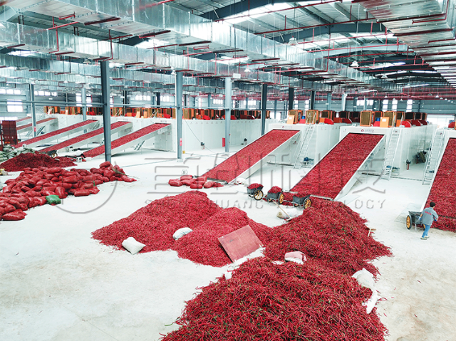 青海工业辣椒烘干设备哪个好 生产厂家 四川南充首创科技供应