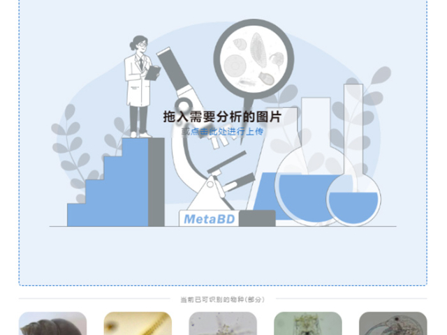 郴州水生生物人工智能分析仪经销商