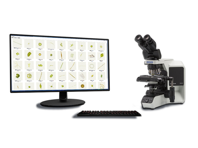 無錫浮游藻類人工智能分析儀使用案例 江蘇宏眾百德生物科技供應;