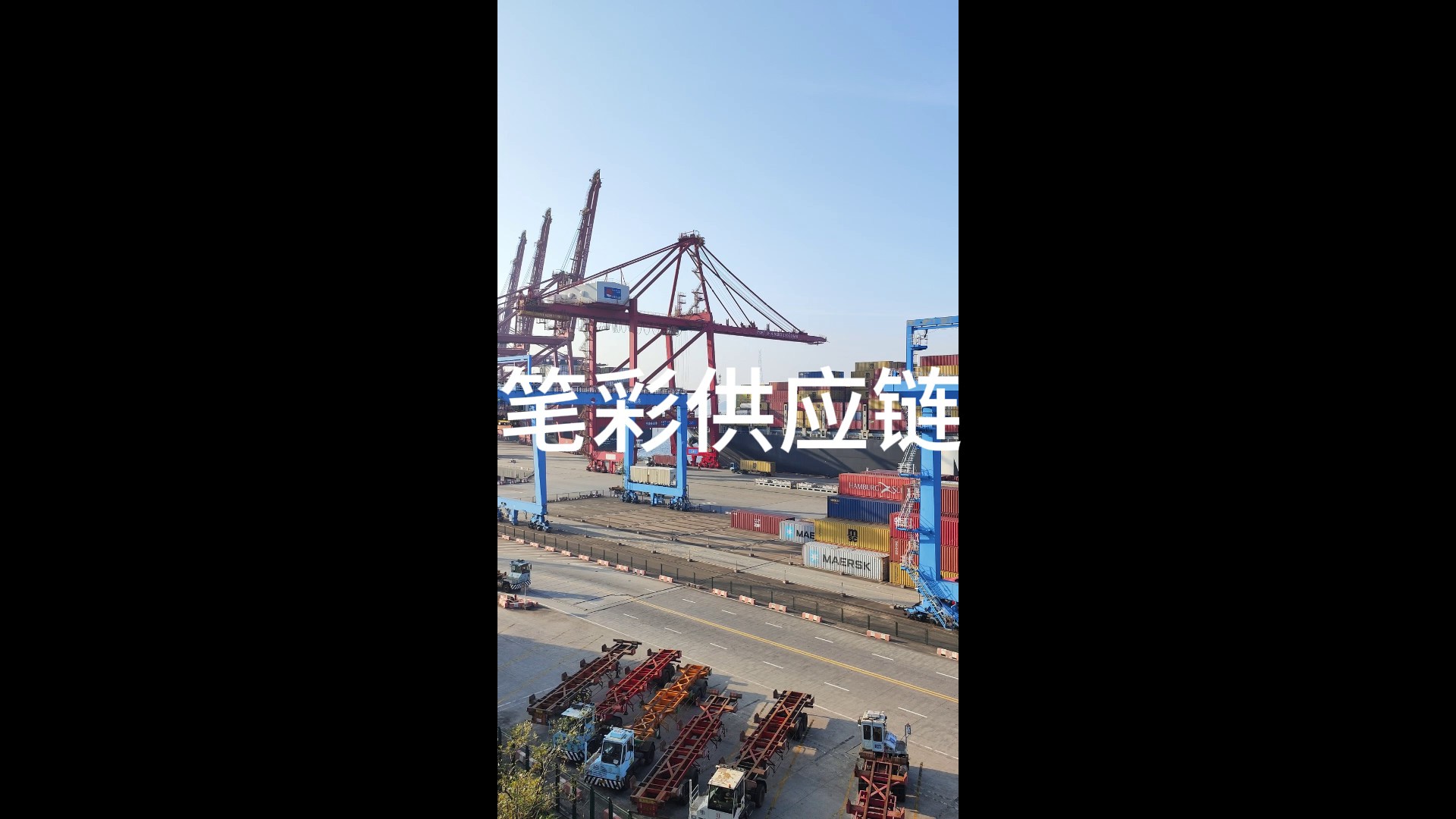 上海大柜海运货运公司,海运