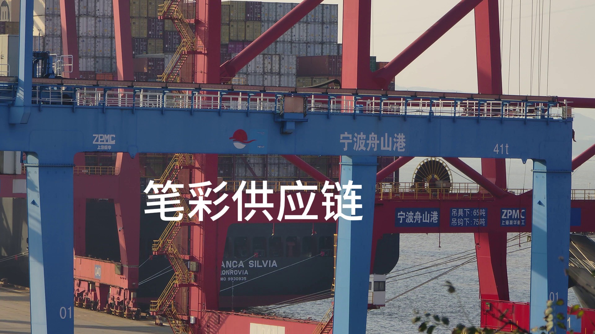 宁波舟山港专业海运公司有哪些,海运