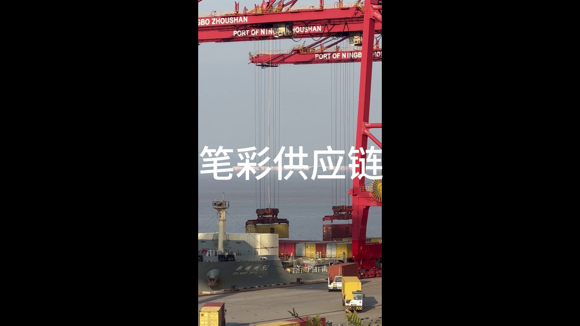 宁波舟山港集装箱海运公司有哪些,海运