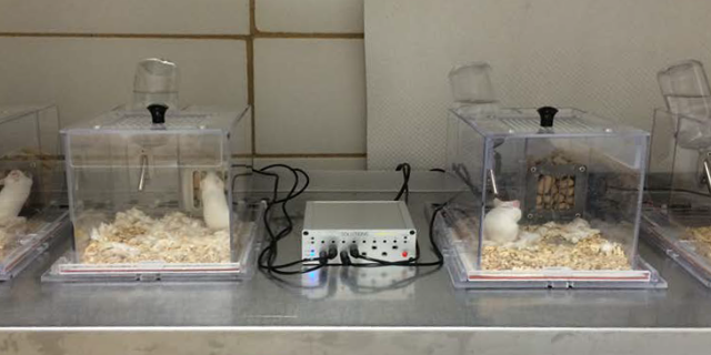 智能無創(chuàng)睡眠監(jiān)測系統(tǒng)廠家 來電咨詢 因斯蔻浦供應(yīng)