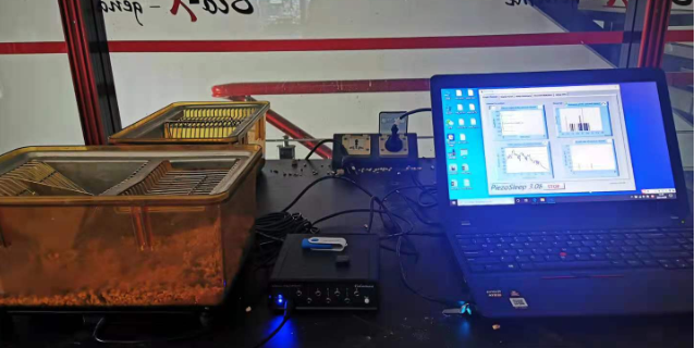 青海無創(chuàng)睡眠監(jiān)測系統(tǒng)市場價 推薦咨詢 因斯蔻浦供應(yīng)