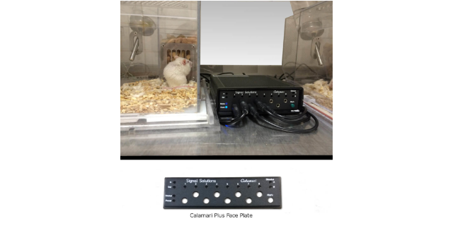 上海飼養(yǎng)無(wú)創(chuàng)睡眠監(jiān)測(cè)系統(tǒng) 來(lái)電咨詢 因斯蔻浦供應(yīng)