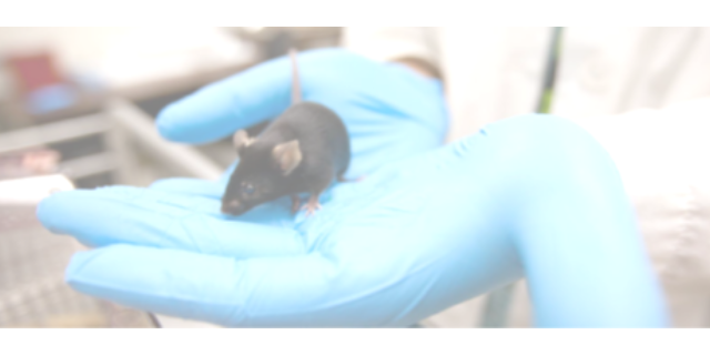 上海無創(chuàng)睡眠監(jiān)測(cè)系統(tǒng)價(jià)格 推薦咨詢 因斯蔻浦供應(yīng)