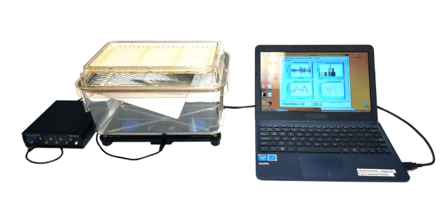 威海無創(chuàng)睡眠監(jiān)測系統(tǒng)參數(shù) 推薦咨詢 因斯蔻浦供應(yīng)