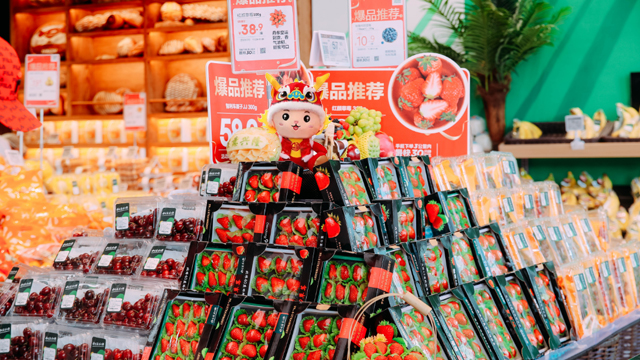安徽加盟凯市隆会员店会员店是可以升级转型的 上海凯市隆供应链供应
