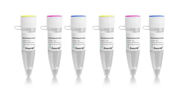 Recombinant Human PSGL-1 Protein