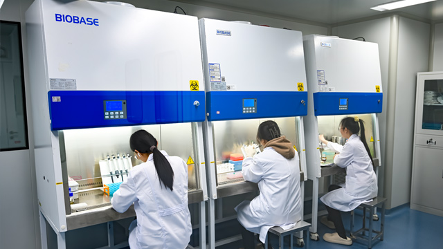 上海酶定向进化技术服务研发