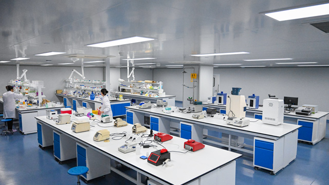 黑龙江汉逊酵母表达人胶原蛋白技术服务研发