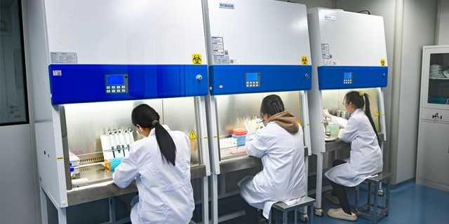 Recombinant Rat IL-23R Protein,hFc Tag 抱诚守真 浦斯瑞（上海）生物医药供应