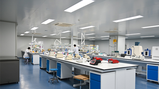吉林酵母表达高通量筛选技术服务研发 欢迎来电 浦斯瑞（上海）生物医药供应