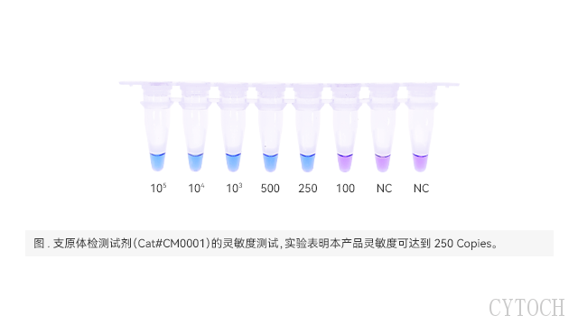 上海支原体检测试剂厂家 上海世途科生物科技供应
