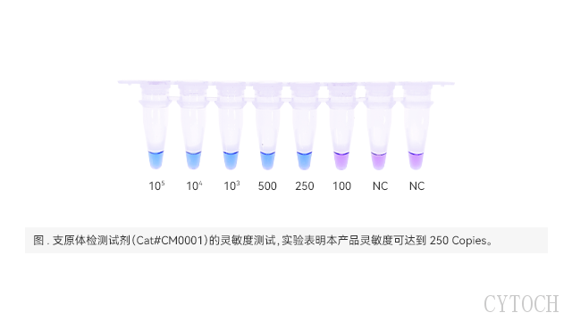 上海支原体检测方法bst 上海世途科生物科技供应