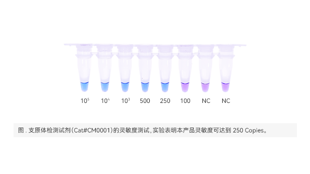 上海细胞培养支原体检测方法LAMP法 上海世途科生物科技供应