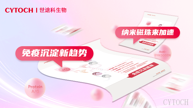 深圳anti Flag免疫沉淀技术服务 上海世途科生物科技供应
