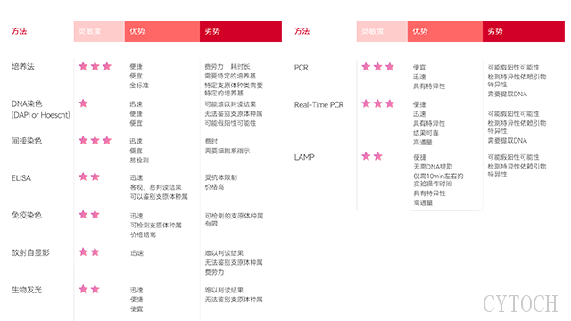 南京支原体检测说明书 上海世途科生物科技供应