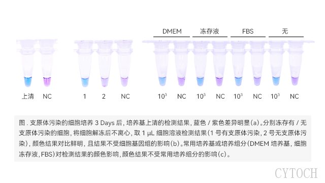 南京细胞支原体检测方法等温扩增
