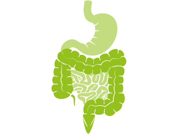 福建有益腸道菌群檢測廠家 信息推薦 美益添生物醫藥供應