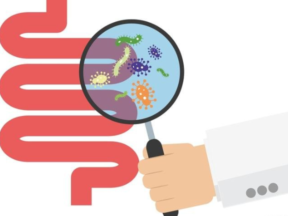 辽宁供体肠道菌群检测多少钱 欢迎来电 美益添生物医药供应