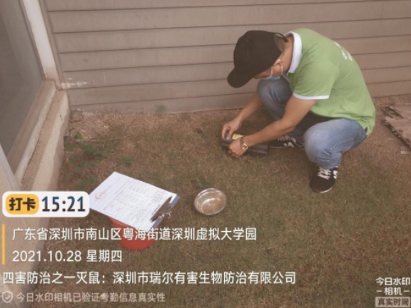 广州幼儿园白蚁防治快速上门 深圳市瑞尔有害生物防治供应