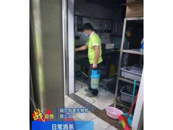 深圳新房白蚁防治24小时服务 深圳市瑞尔有害生物防治供应