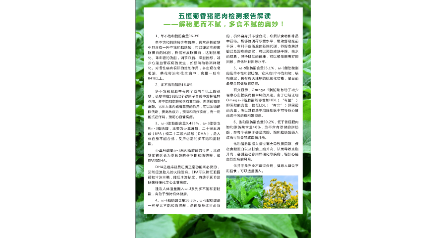 大叶蛋白菊的饲料使用方法