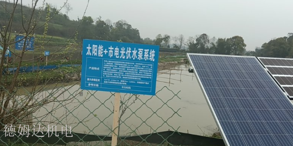 成都水陆两栖式光伏水泵设计 欢迎咨询 四川省德姆达机电科技供应