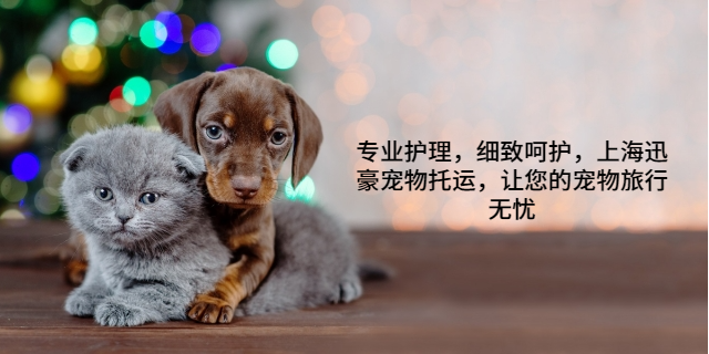 物流宠物托运哪家正规 上海迅豪企业管理供应