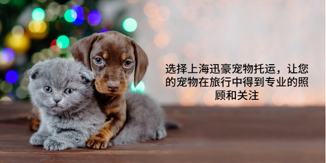 国内宠物托运服务商 上海迅豪企业管理供应;