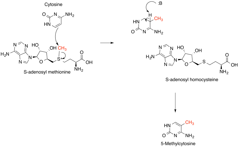 Conversion mechanism