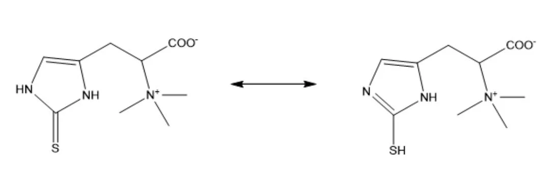 Essential Youth L-Ergothioneine