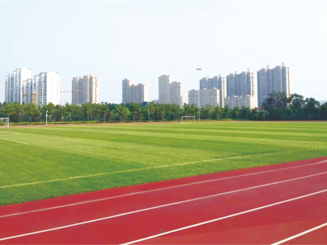 南京标准足球场绿化草坪