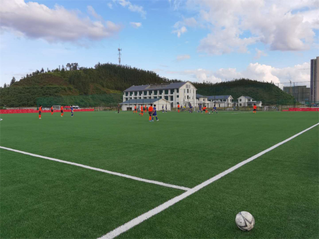 宁波黑麦草足球场喷灌设计