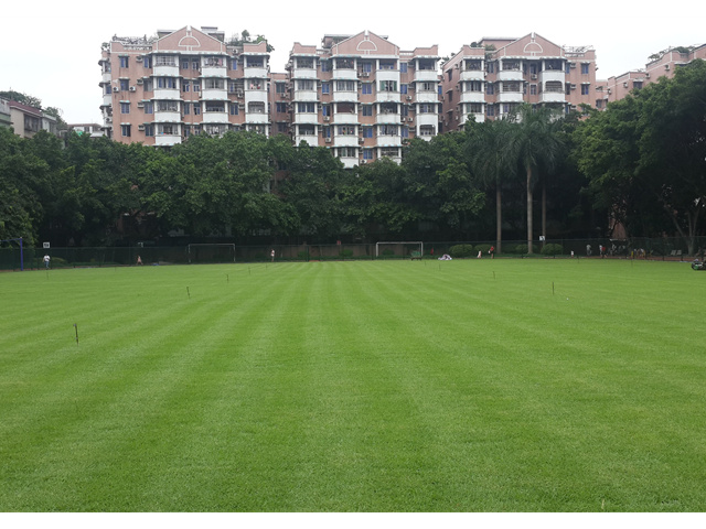重庆人造草坪足球场喷灌设计