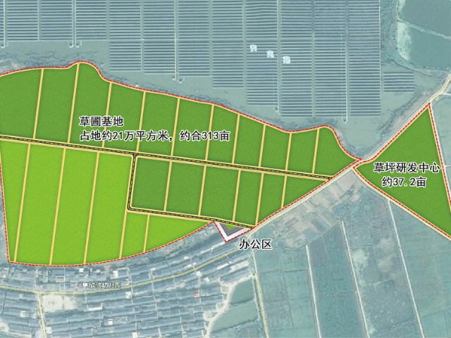 杭州天然草坪规划
